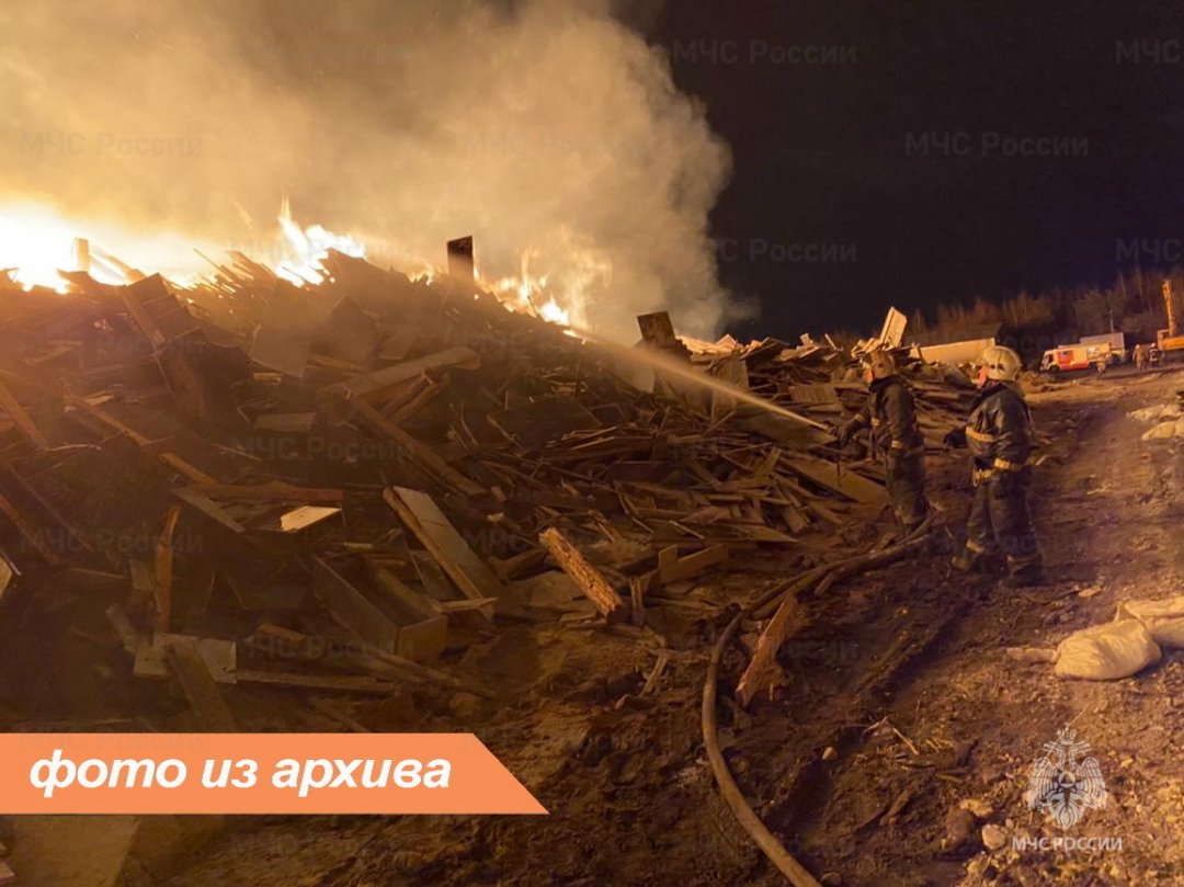Пожарно-спасательное подразделение Ленинградской области ликвидировало пожар в Бокситогорском районе